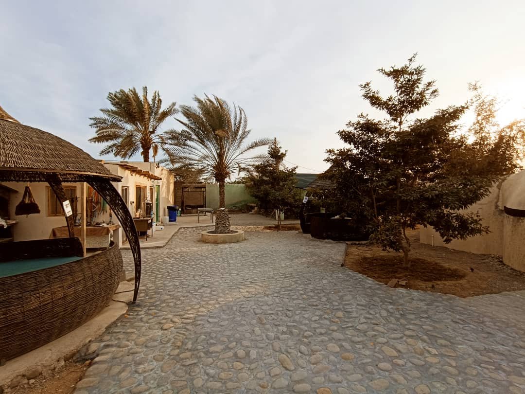 چیکو - واحد بیدام