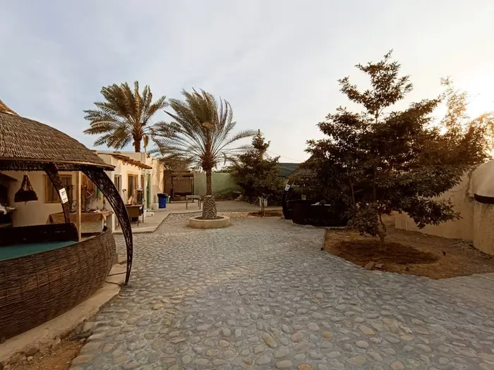 بوم گردی چیکو - واحد نخل