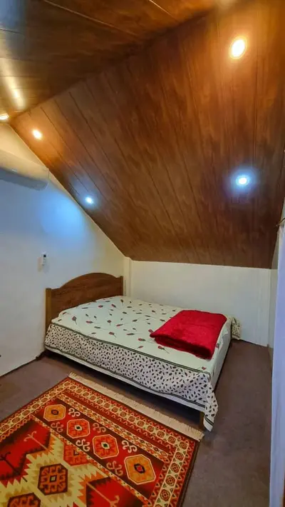 ویلا دوخوابه جنگلی صفا