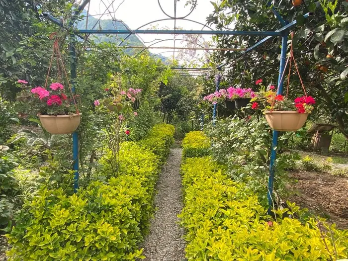 دوخوابه آرام 2