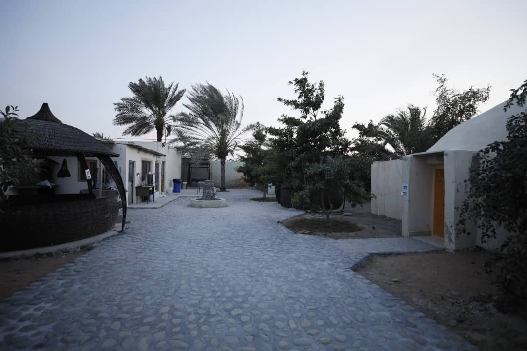 چیکو - واحد نخل