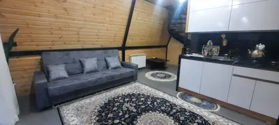 کلبه یک خوابه سوئیسی دوبلکس استخرگاه