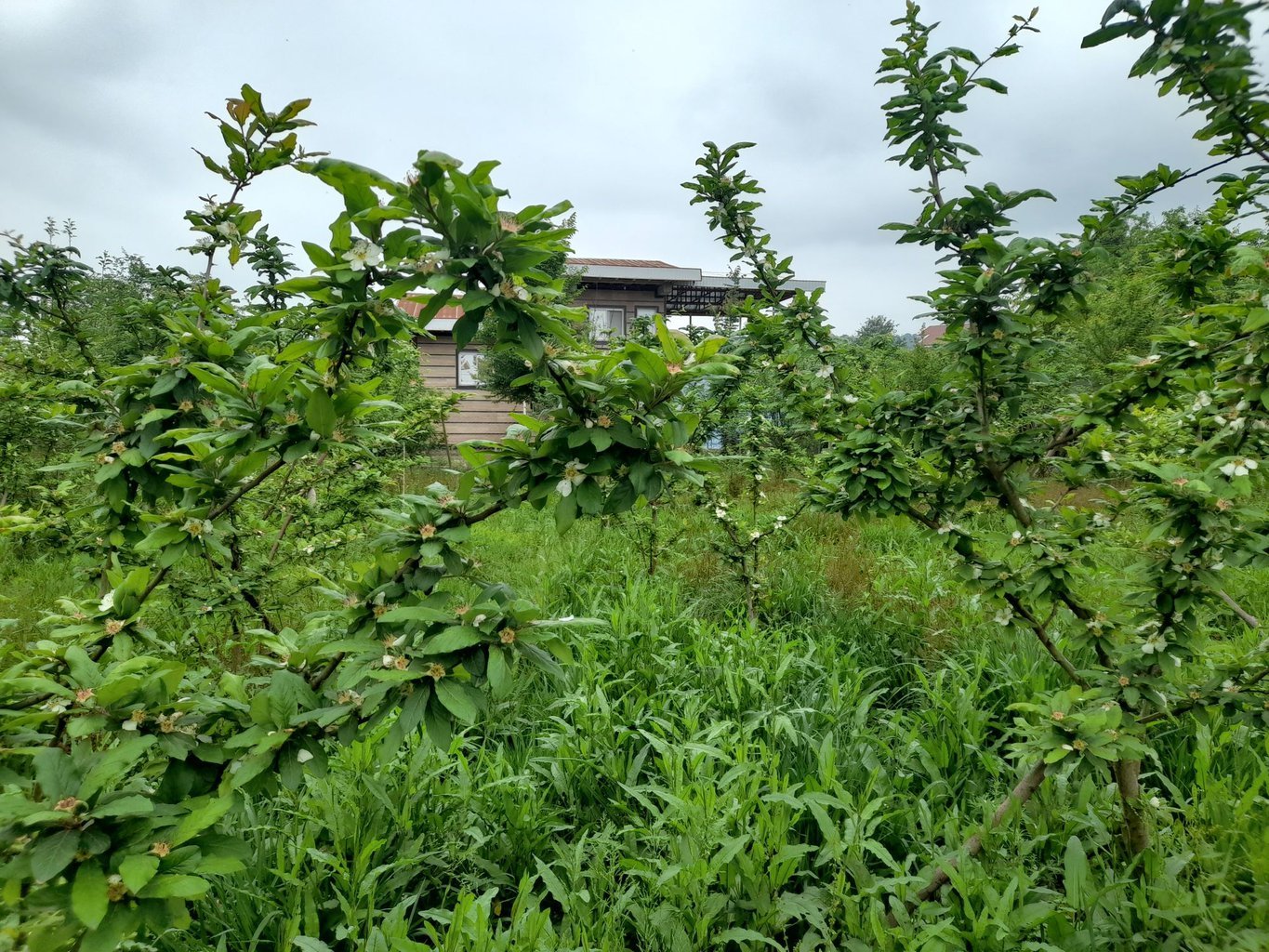 ویلا دوخوابه دوبلکس وشمه سرا