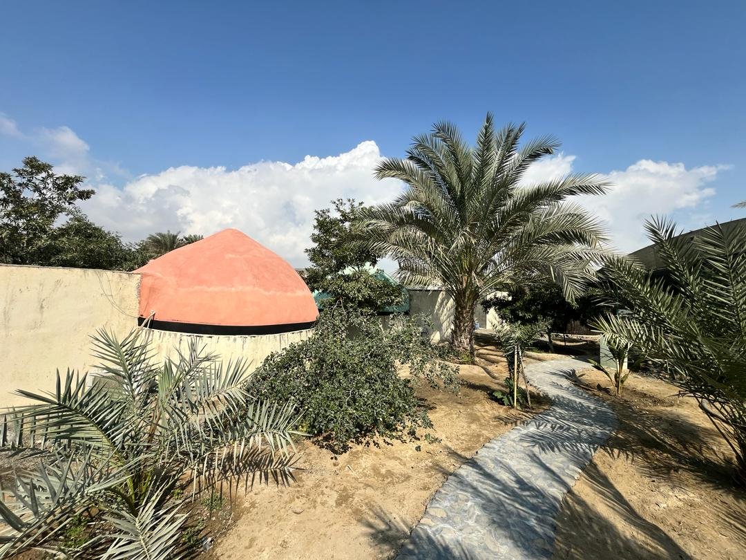 چیکو - واحد بیدام