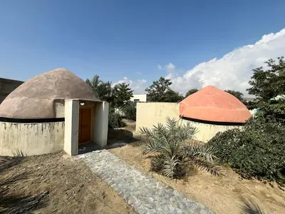 بومگردی چیکو - واحد نخل