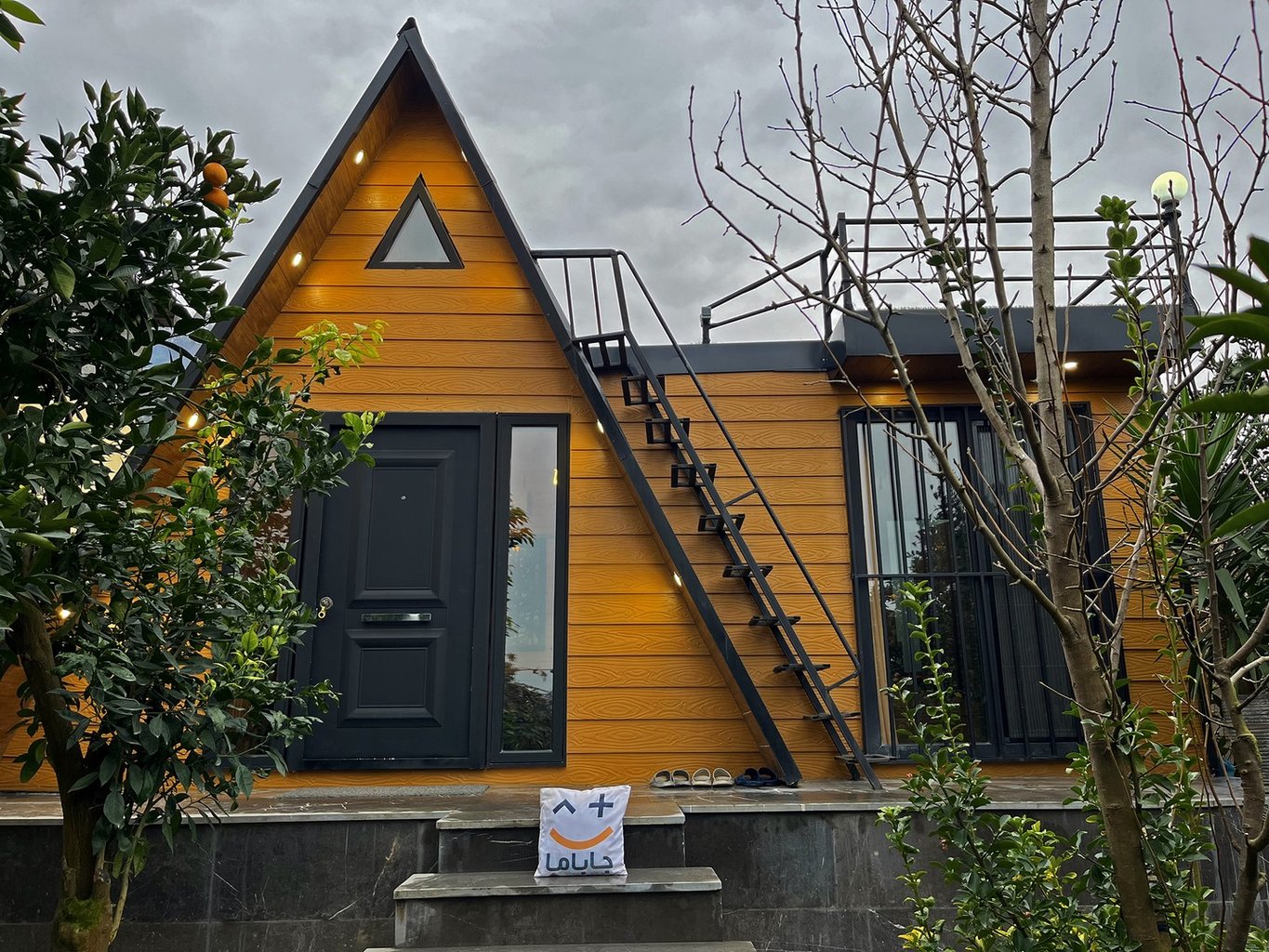 یک خوابه تمشک 30