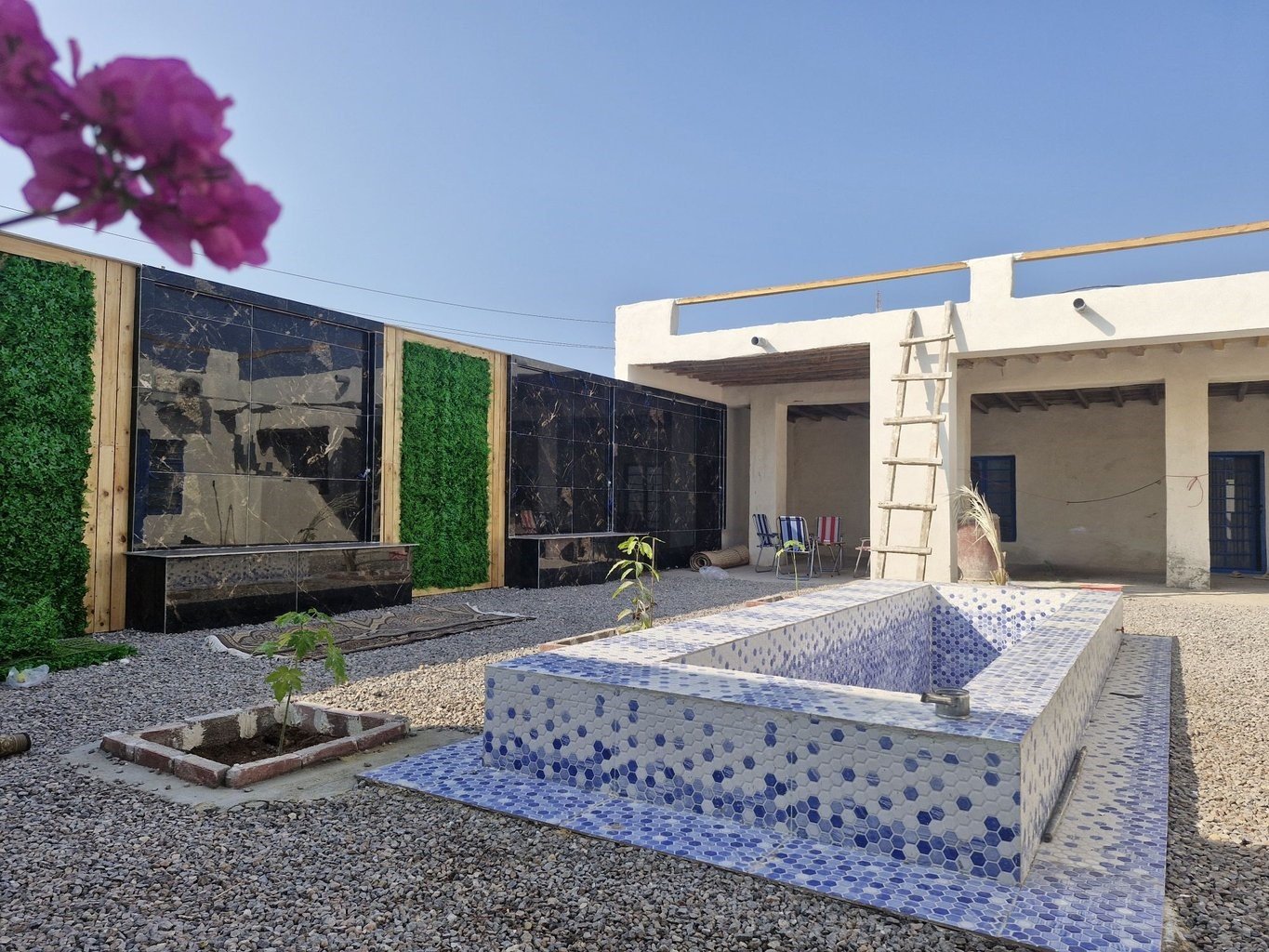 آنامیس - واحد تک درخت