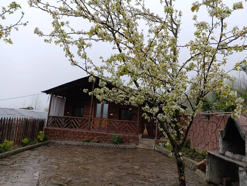 کلبه فلت جنگلی باغ گلابی