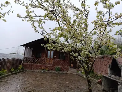 کلبه فلت جنگلی باغ گلابی