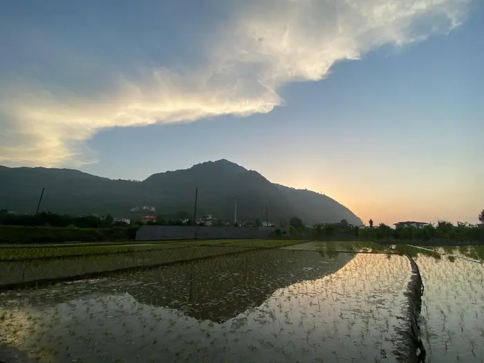 دوخوابه آرام 2