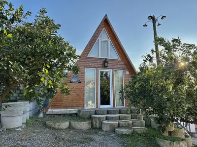 کلبه دنسه بام هیرکانی - واحد آلوچه