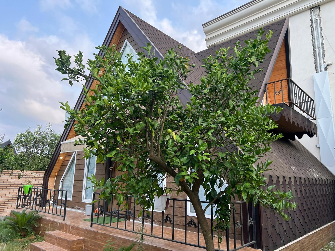 یک خوابه توکا و شوکا