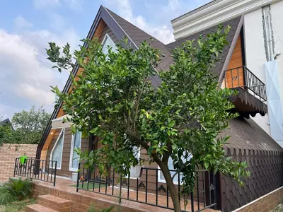 کلبه یک خوابه توکا 1