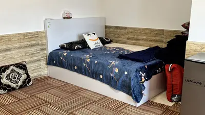 بومگردی نخل شیخی - واحد خلاص