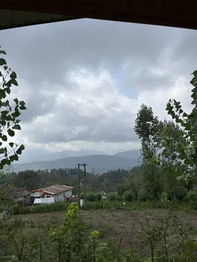 کلبه یک خوابه باغه بهشت لمارون