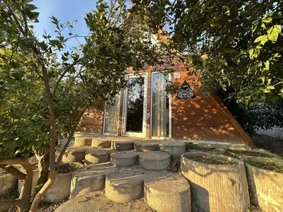 کلبه دنسه بام هیرکانی - واحد صنوبر