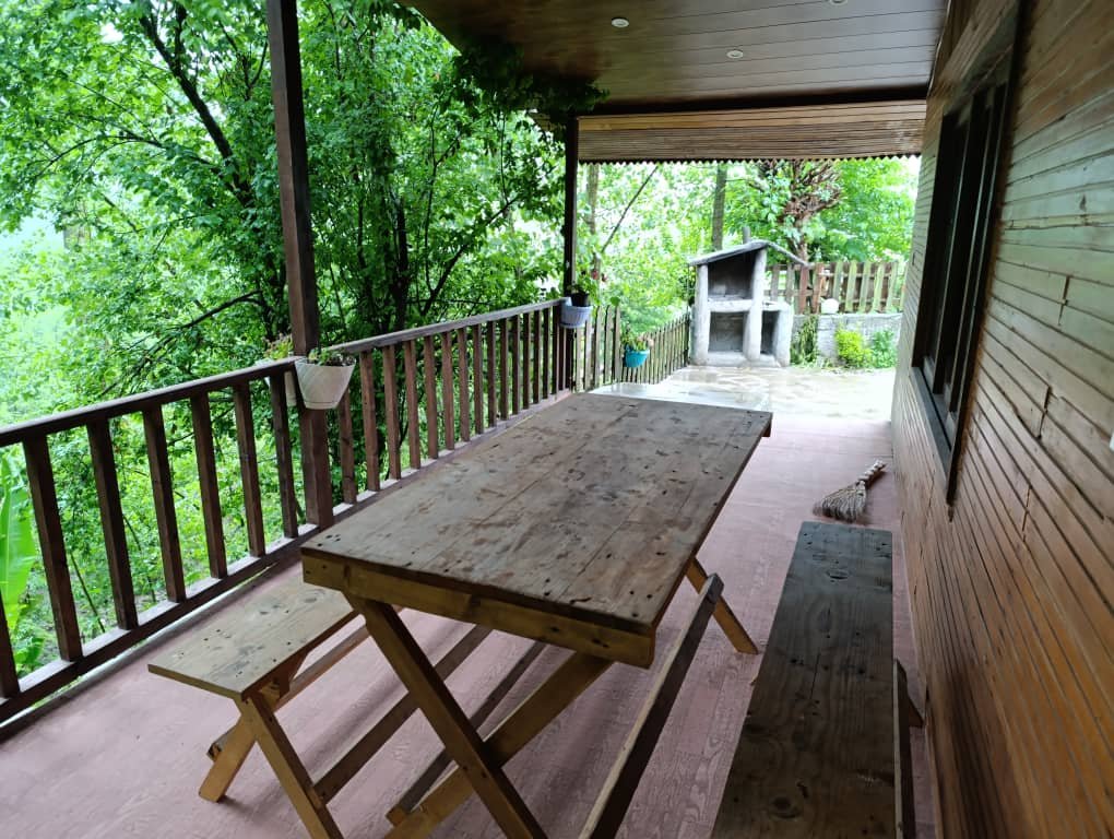 فلت امیر فتحی