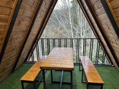 کلبه دنسه بام هیرکانی - واحد توسکا