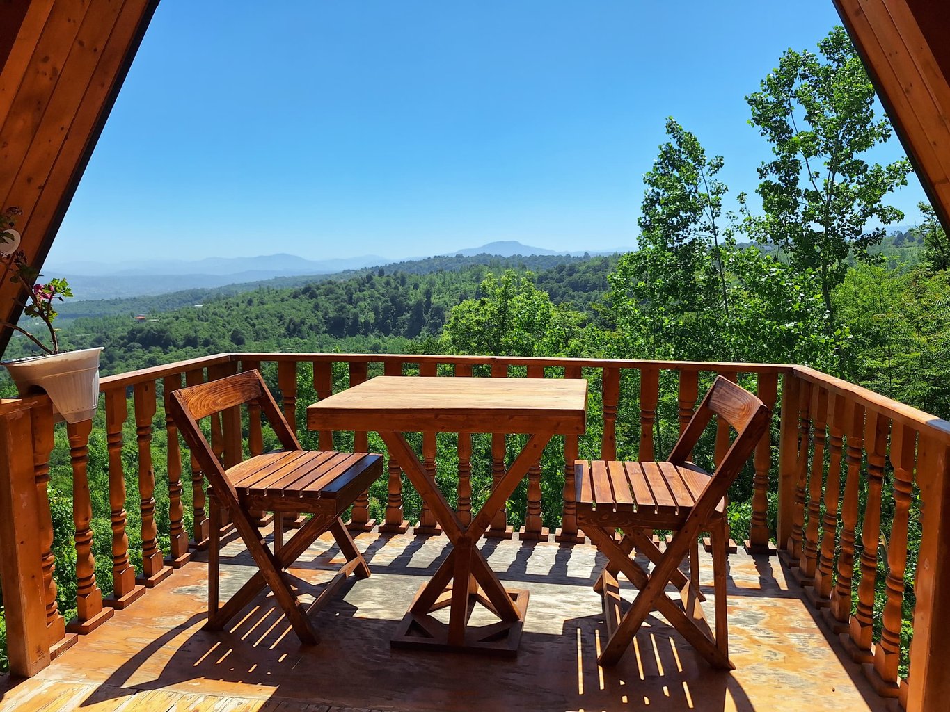 یک خوابه سوئیسی پونه