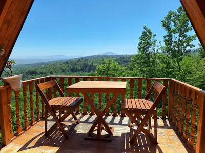 کلبه یک خوابه سوئیسی پونه