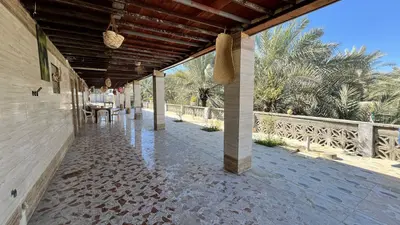 بومگردی نخل شیخی - واحد خاصوئی