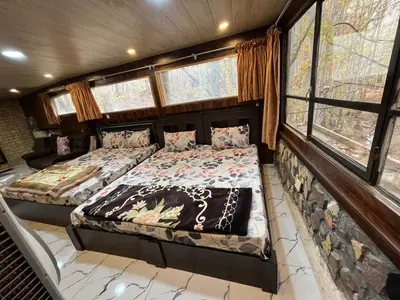 بومگردی جنگلی قلات - واحد چم گردو