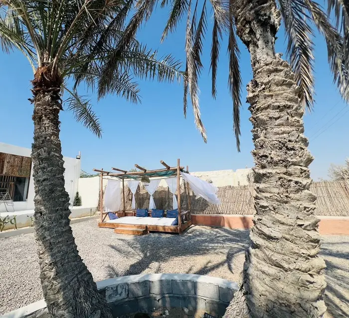 بوم گردی هاما - واحد خلقت