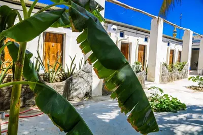 بومگردی باغ طاها - واحد 7