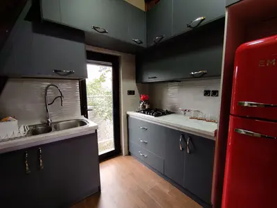 کلبه دوخوابه سوئیسی استخردار آبگرم کاریزما