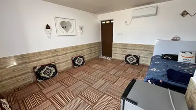 بومگردی نخل شیخی - واحد خلاص