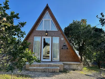 کلبه دنسه بام هیرکانی - واحد شمشاد