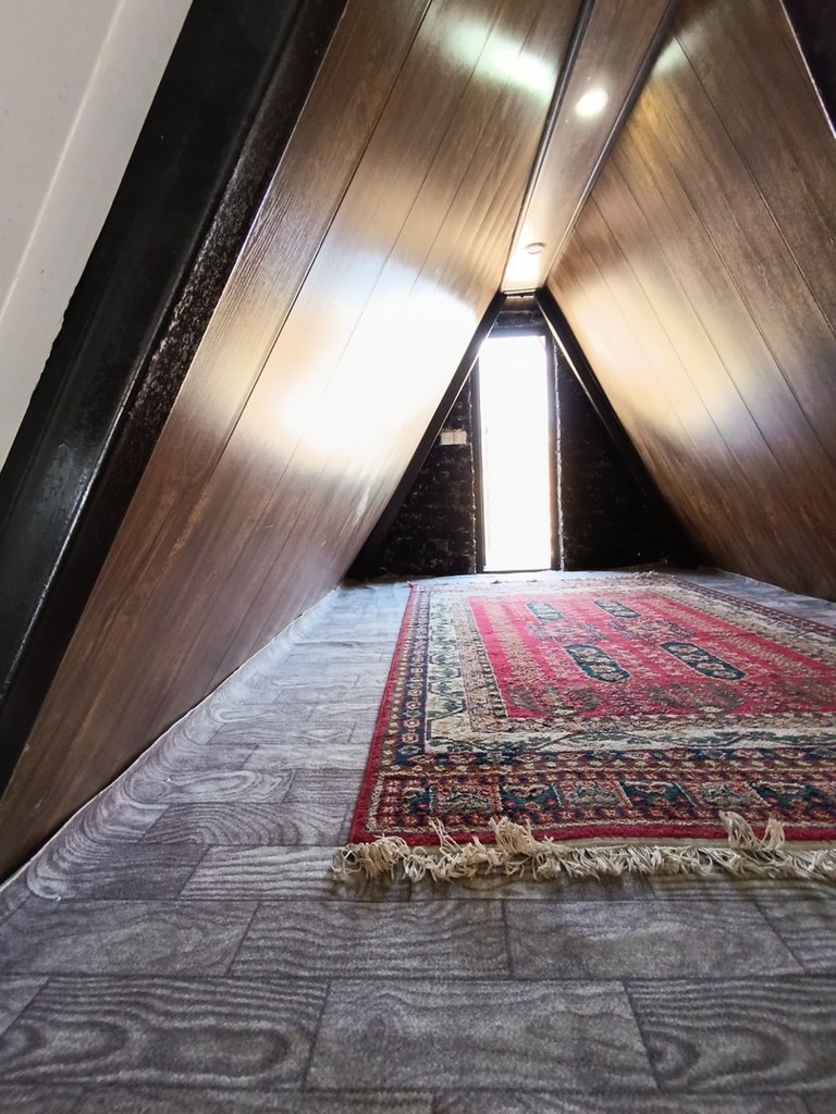 فلت جنگلی جکوزی دار دل سو 2