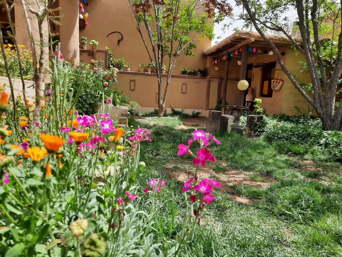 بوم گردی گردو - واحد سولین