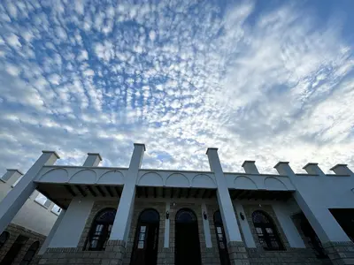 بومگردی بندرگاه - واحد خور هاله