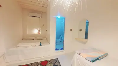 بومگردی مالوک - واحد ۶