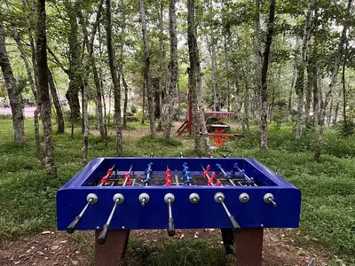 کلبه اکو کمپ سه هزار - واحد سوئیسی دوتخته