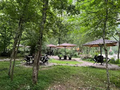 کلبه اکو کمپ سه هزار - واحد سوئیسی دوتخته