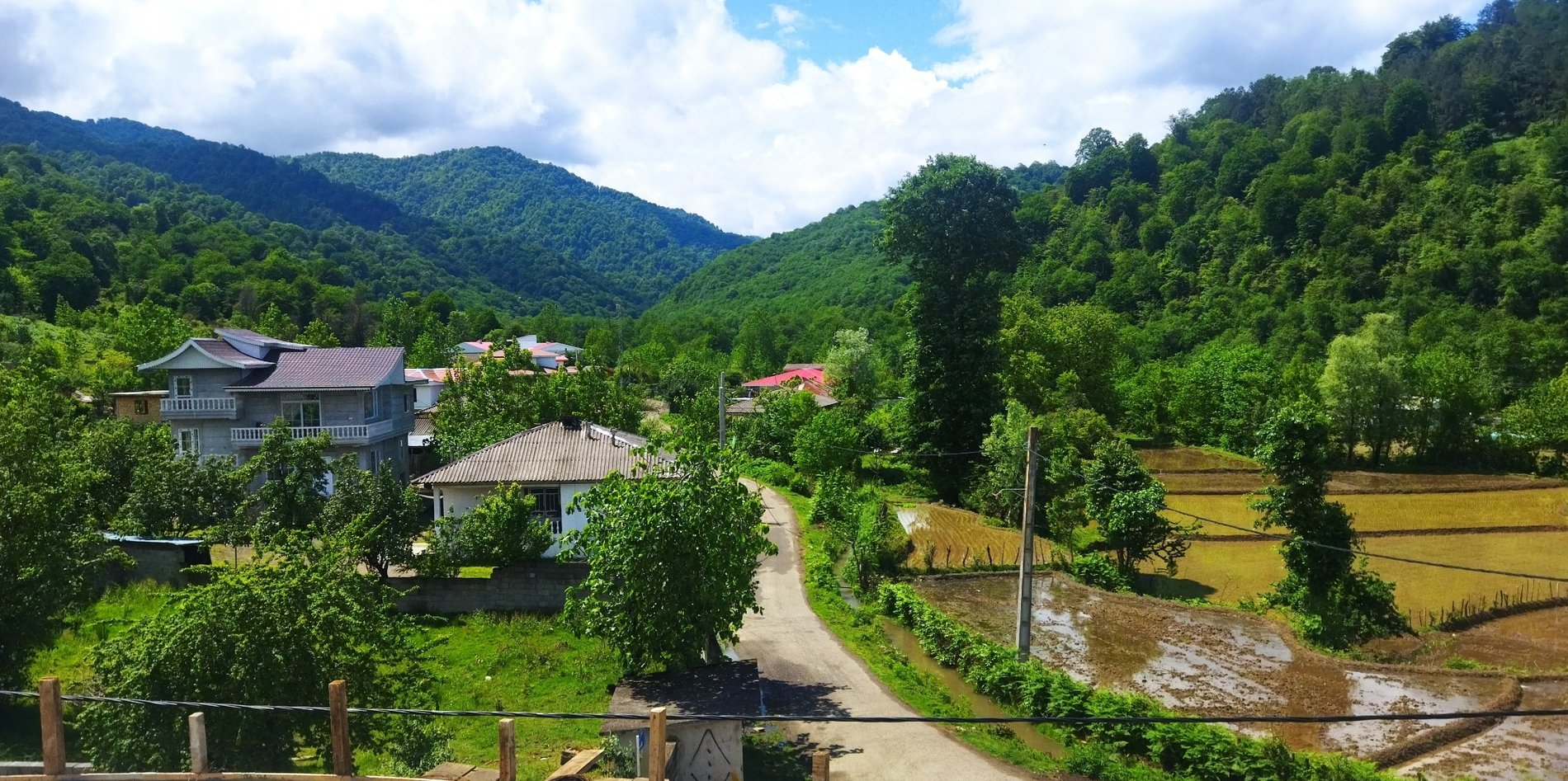 ویلا دوخوابه جنگلی ویسادار