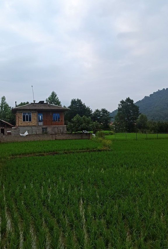 ویلا یک خوابه بیجار ۲