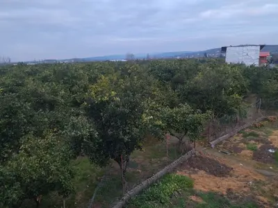 ویلا ویلای دوخوابه سوفا