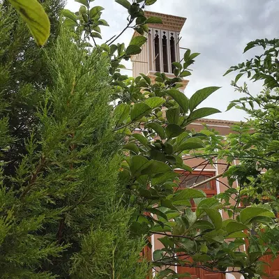 بومگردی کوچه حنا - واحد ۱۰۲