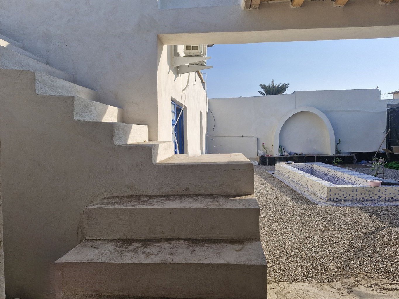 آنامیس - واحد تک درخت