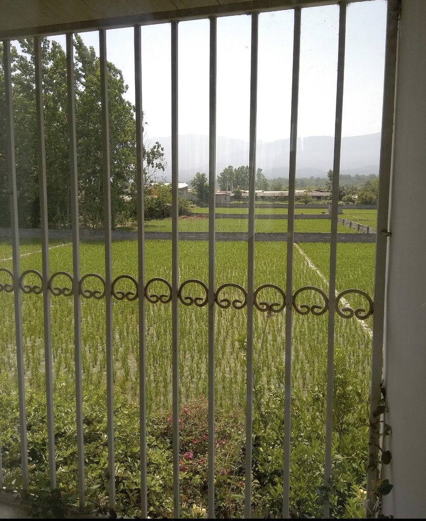 ویلا دوخوابه دوبلکس جنگلی انارجا