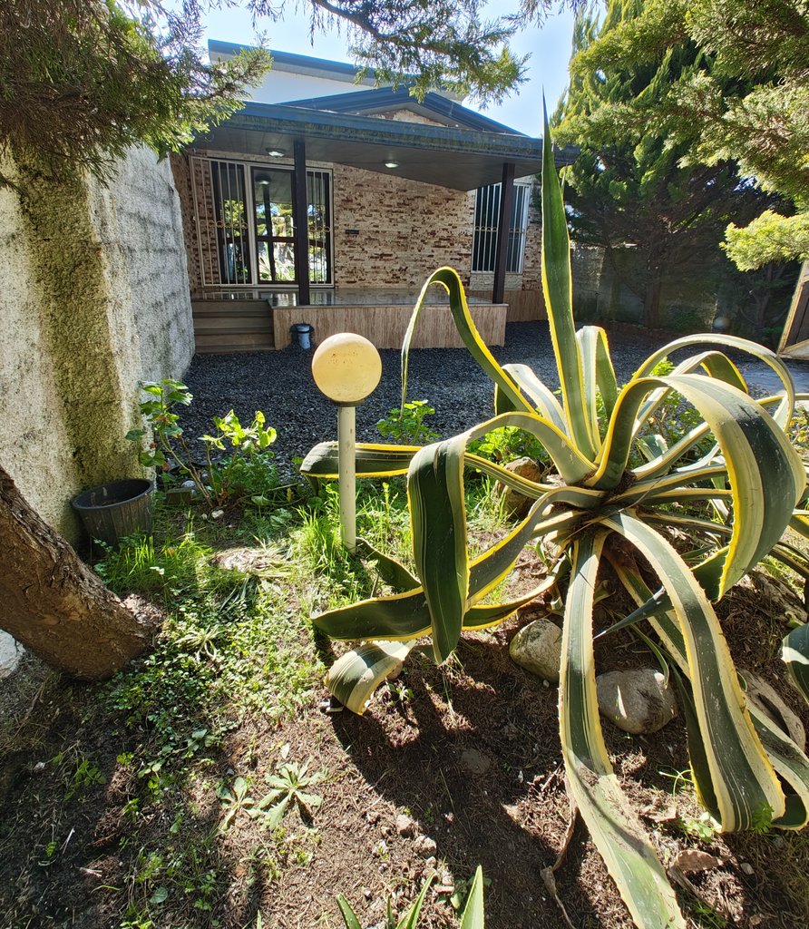 ویلا دوخوابه دوبلکس جنگلی انارجا