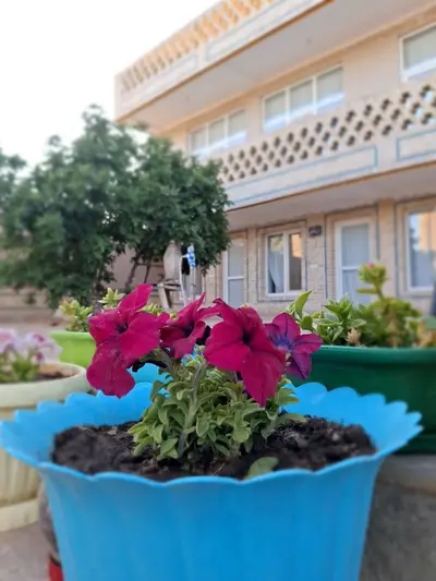 بومگردی اقامتگاه بومگردی راگه - سرای احمد آقایی