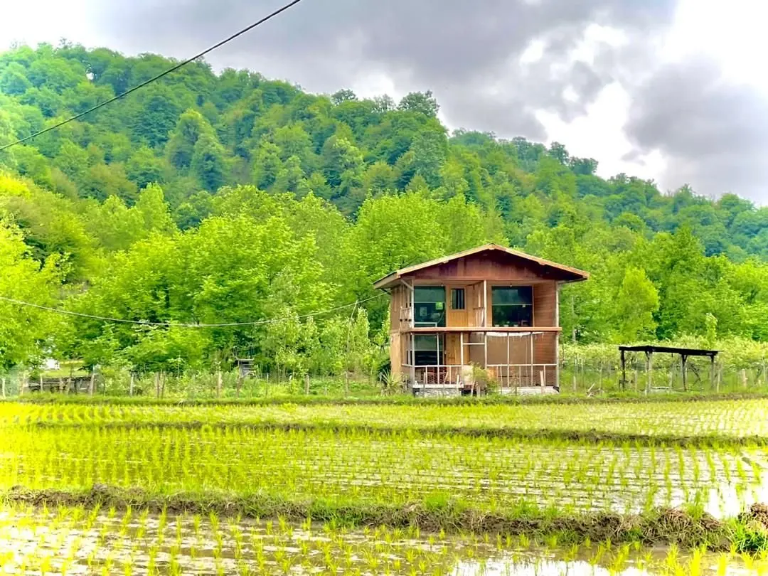 کلبه یک خوابه جنگلی چوبی جکوزی دار سراگاه