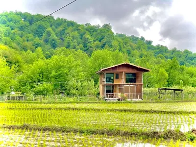 کلبه یک خوابه جنگلی چوبی جکوزی دار سراگاه