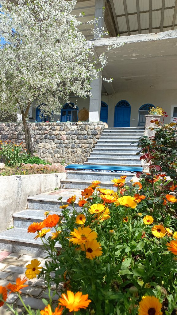 کلبه ویلای تک خوابه عمو یحیی