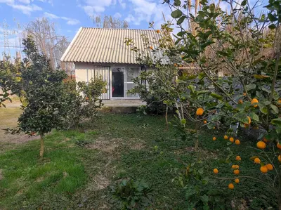 کلبه دوخوابه چوبی نواز