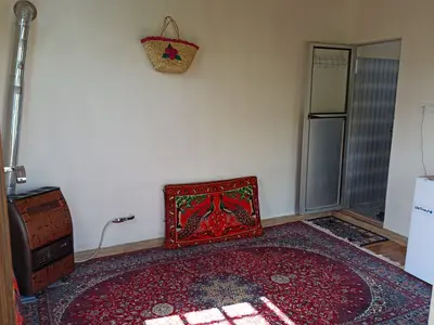 کلبه یک خوابه جنگلی فیروزه